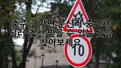 충주 금가면 문산리 중고차 딜러 추천: 믿을 수 있는 곳을 찾아보세요!