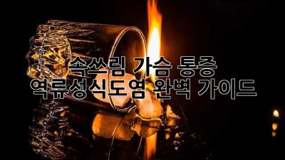 속쓰림, 가슴 통증? 역류성식도염 완벽 가이드