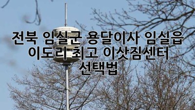 전북 임실군 용달이사: 임실읍 이도리 최고 이삿짐센터 선택법
